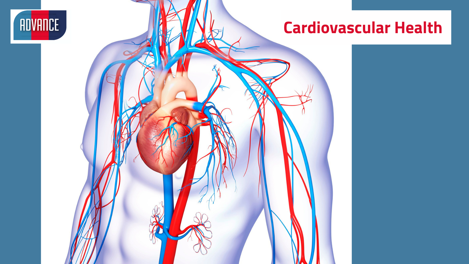 Read more about the article 28th May 2021: Your ADVANCE day explained – Cardiovascular tests